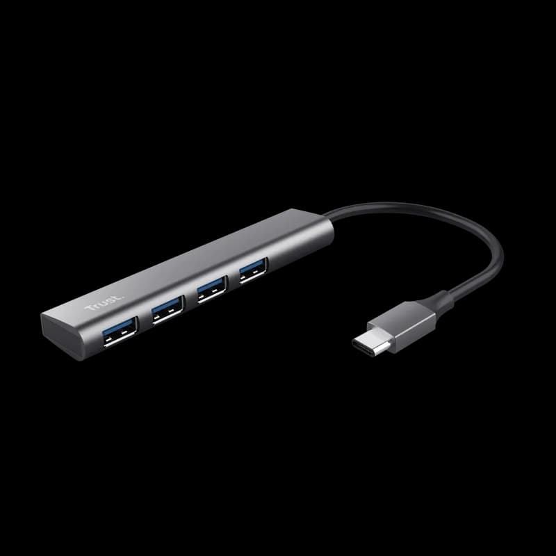 Hub USB Trust Halyx USB-A, 4 porturi, Argintiu — miniatură