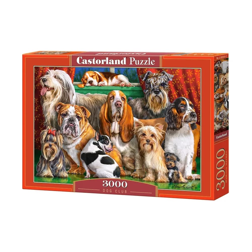 Puzzle 3000 piese - Castorland — miniatură