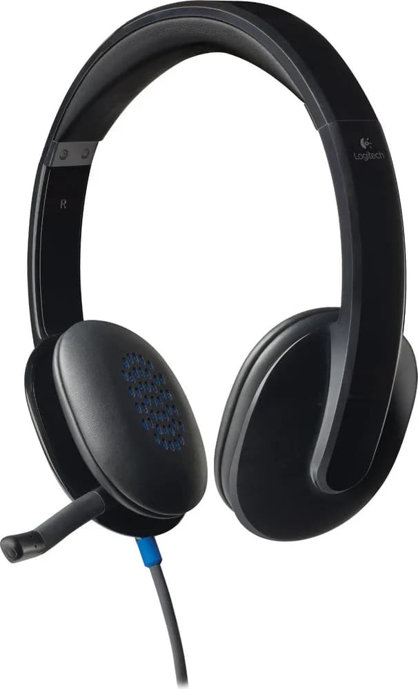 CASTI Logitech, "H540", cu fir, standard, utilizare multimedia, call center, microfon pe brat, conectare prin USB 2.0, negru, "981-000480"