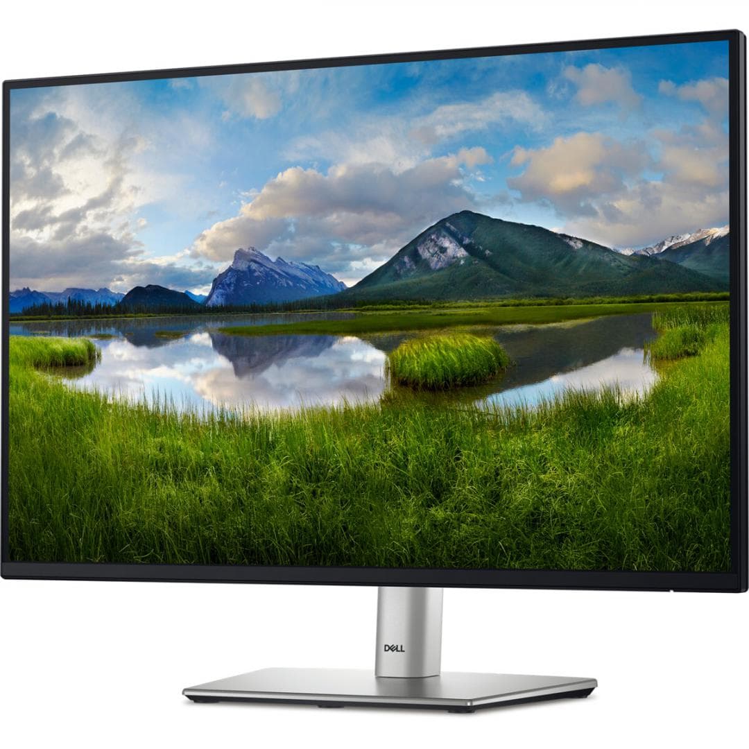 Monitor Commercial Dell P2425E, 24.07", 1920 x 1200 pixeli, Black-Silver — miniatură