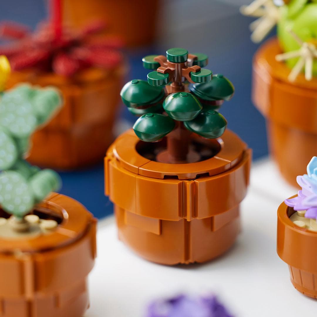 PLANTE DE MICI DIMENSIUNI, LEGO 10329 — miniatură
