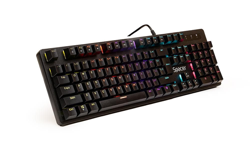 Tastatura Mecanica Gaming SPACER WARRIOR, RGB, USB, negru