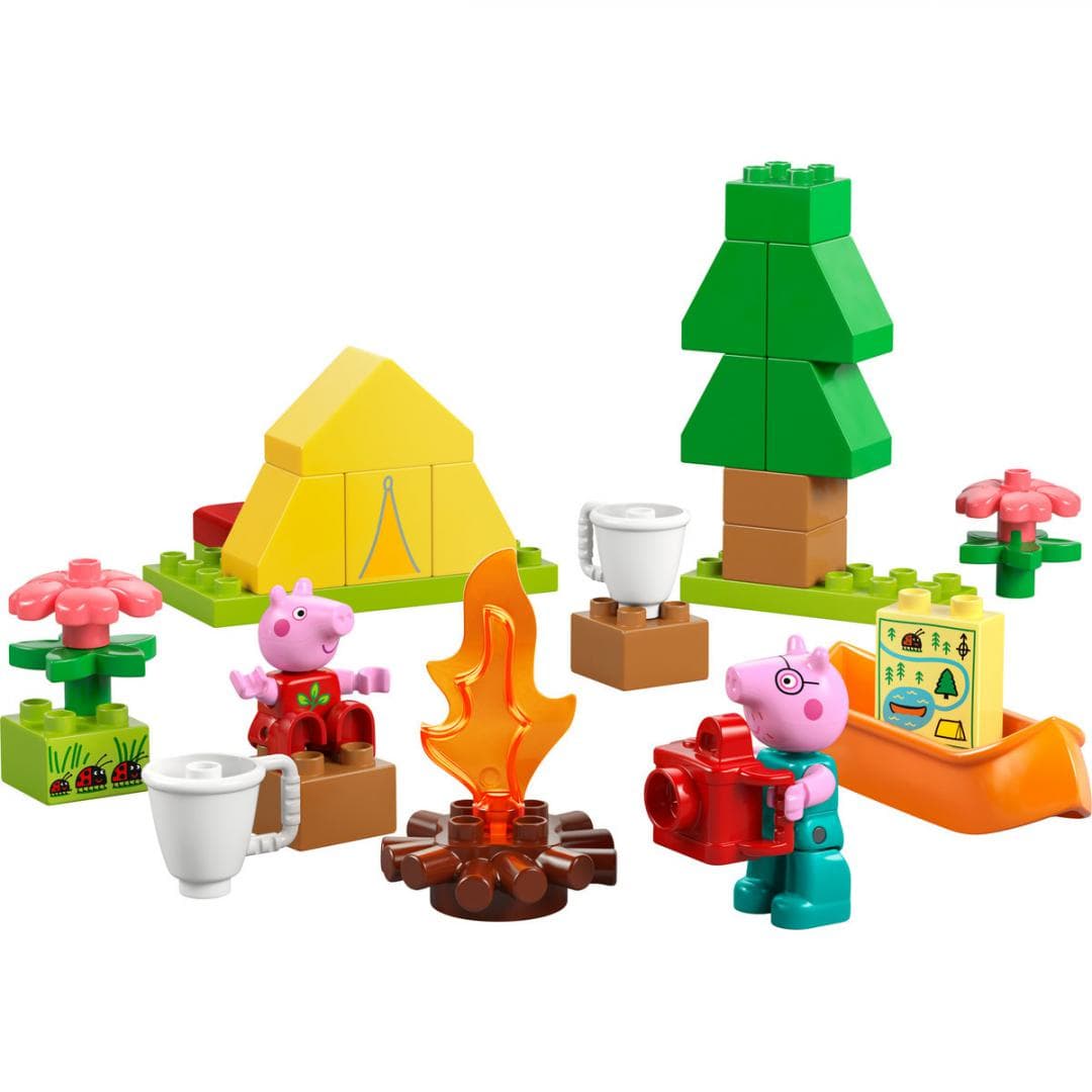 EXCURSIE CU CORTUL, LEGO 10452 — miniatură