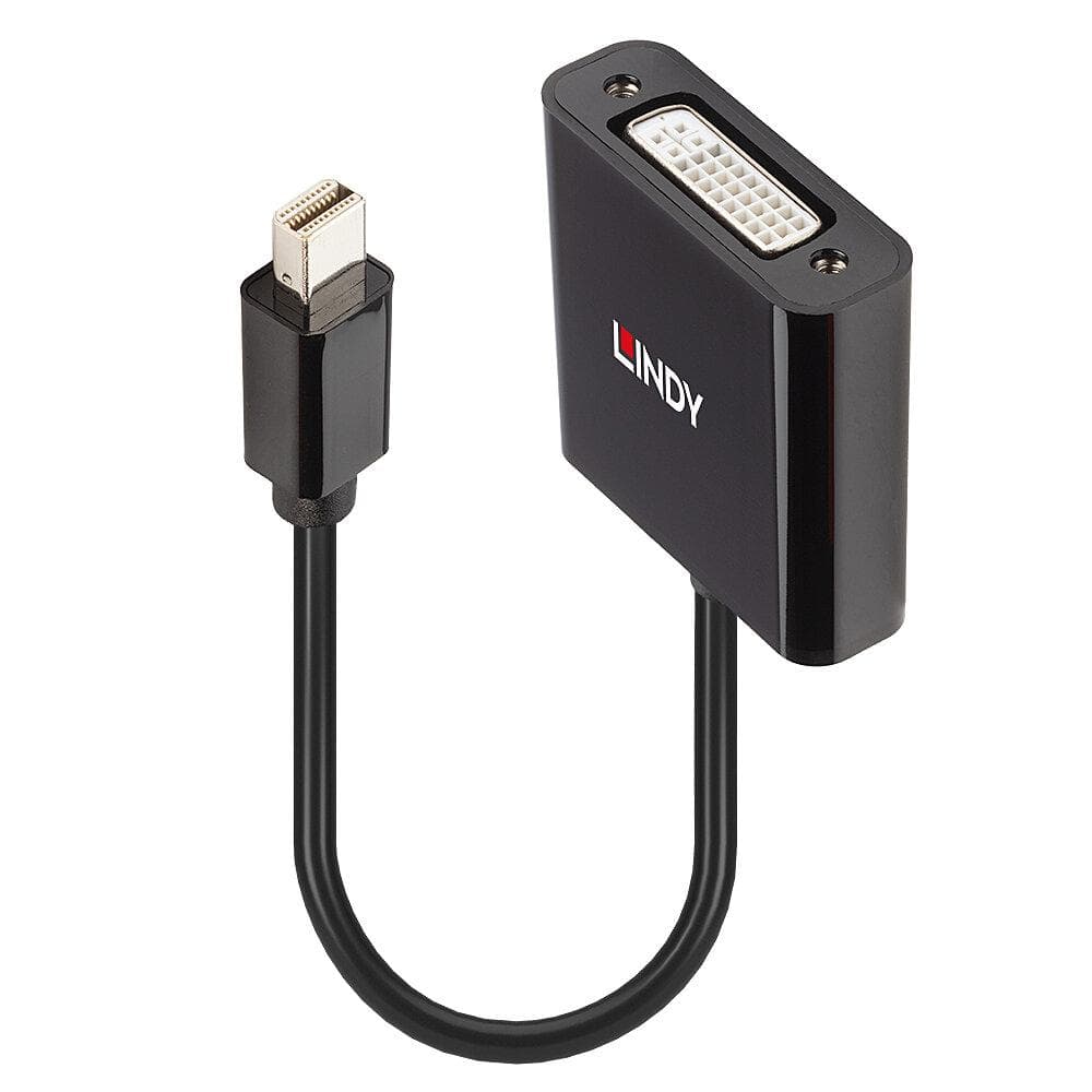 Lindy Mini DisplayPort to DVI Active Converter, 5.4Gbps — miniatură