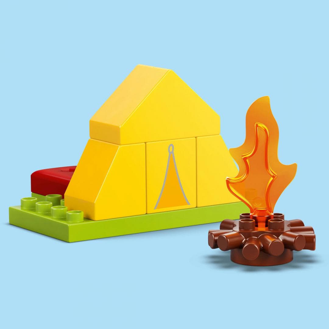 EXCURSIE CU CORTUL, LEGO 10452 — miniatură