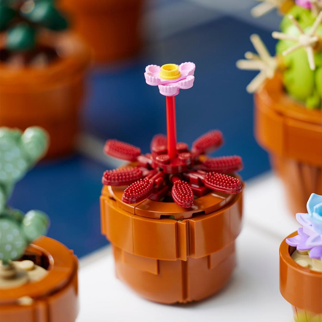 PLANTE DE MICI DIMENSIUNI, LEGO 10329 — miniatură