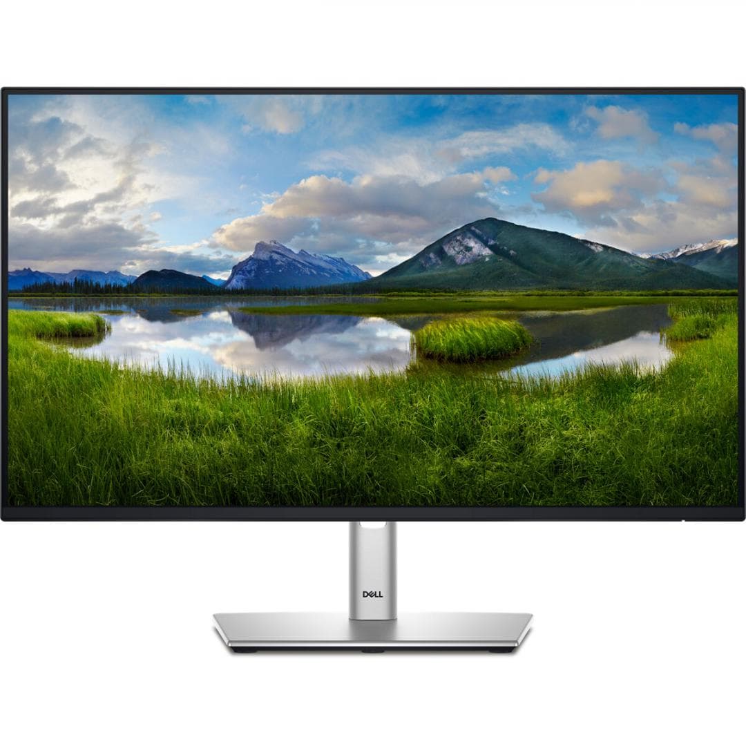 Monitor Commercial Dell P2425H, 23.8", 1920 x 1080 pixeli, Black-Silver