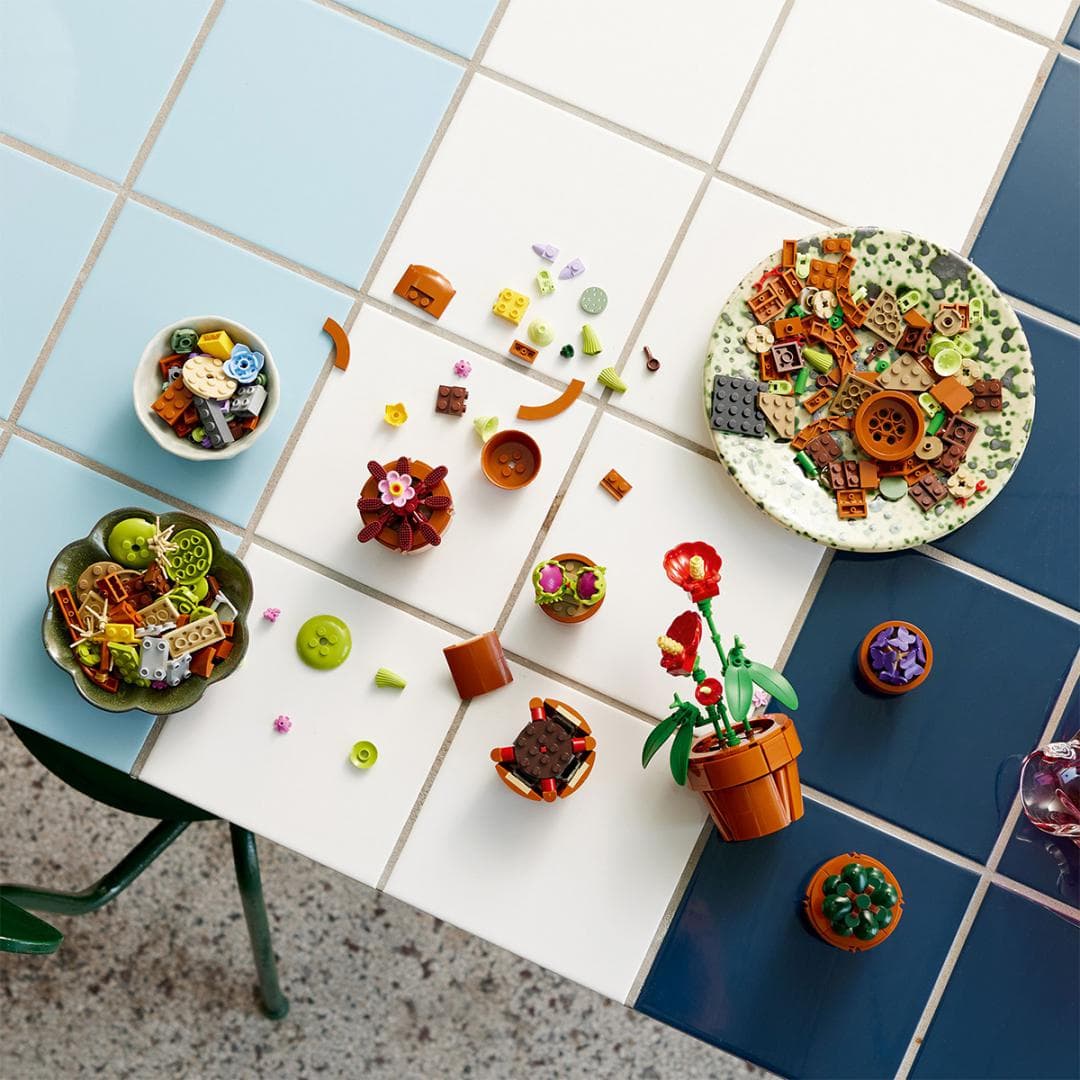 PLANTE DE MICI DIMENSIUNI, LEGO 10329 — miniatură