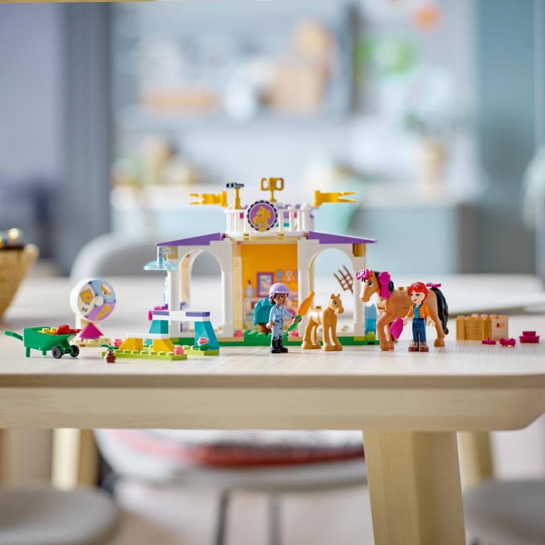 DRESAJ DE CAI, 41746 LEGO — miniatură