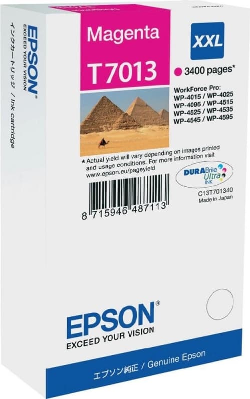 Cartus Cerneala Original Epson Magenta, T7013, pentru WP4000|4500, "C13T70134010"(RAPO)