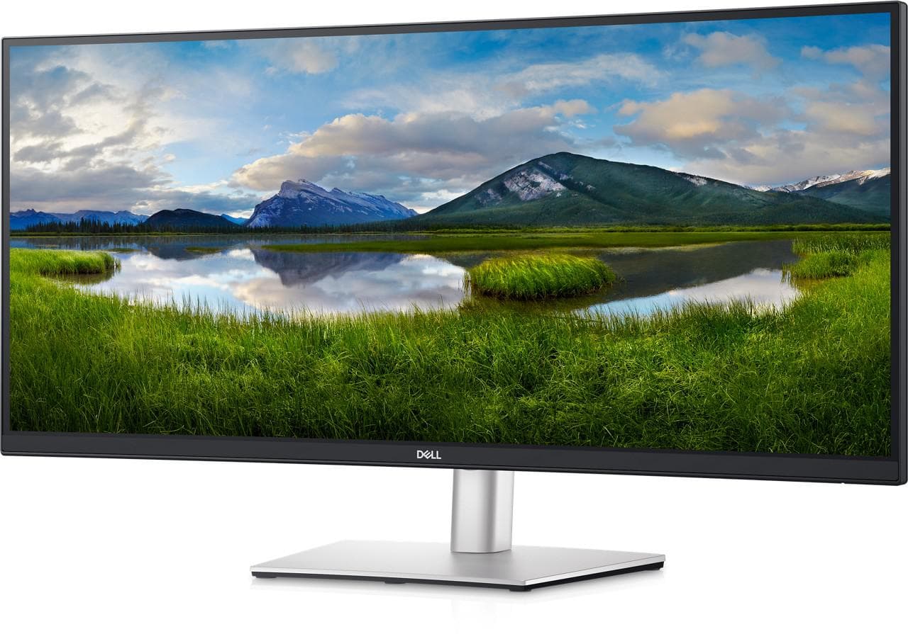 DL MONITOR 34" P3421W USB-C CMFV+ WQHD, "P3421WM" — miniatură