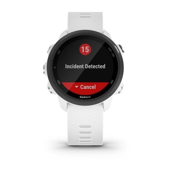 Smartwatch Garmin Forerunner 245 Music White, "PHT15173" — miniatură