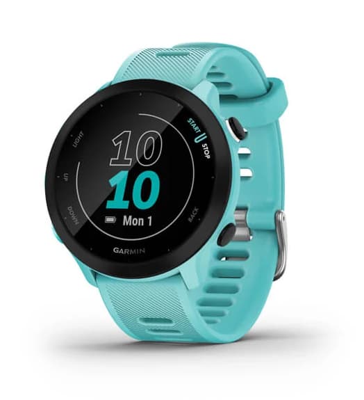 Smartwatch Garmin Forerunner 55 Aqua, "PHT15186"
