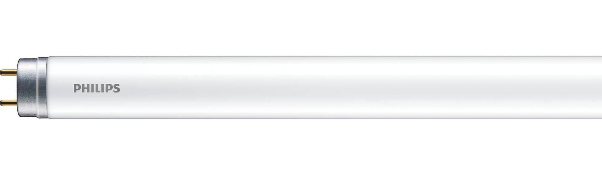 LED T8 1200MM 16W G13 CDL 1CT/4 "000008719514444331".
