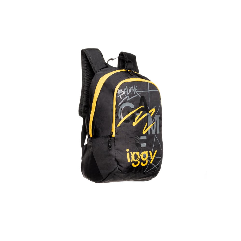RUCSAC IGGY, 2 compartimente, 2 buzunare laterale, nylon, waterproof, 45x29x22.5cm, negru, 45506980 "Joy", "IGBP-JOY" — miniatură