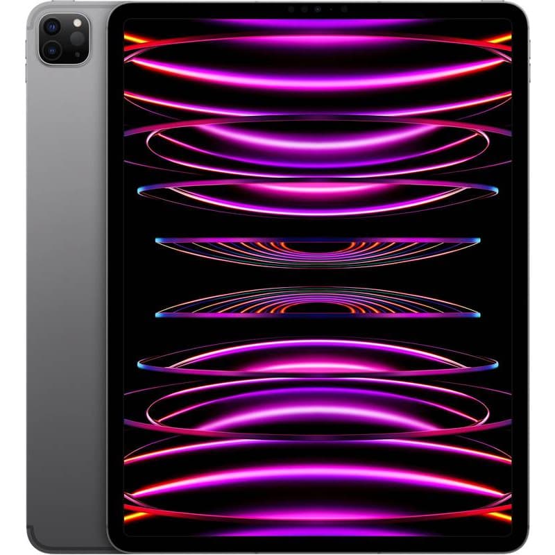 IPAD PRO(6th) 12.9 CELLULAR 128GB GREY "MP1X3FD/A"