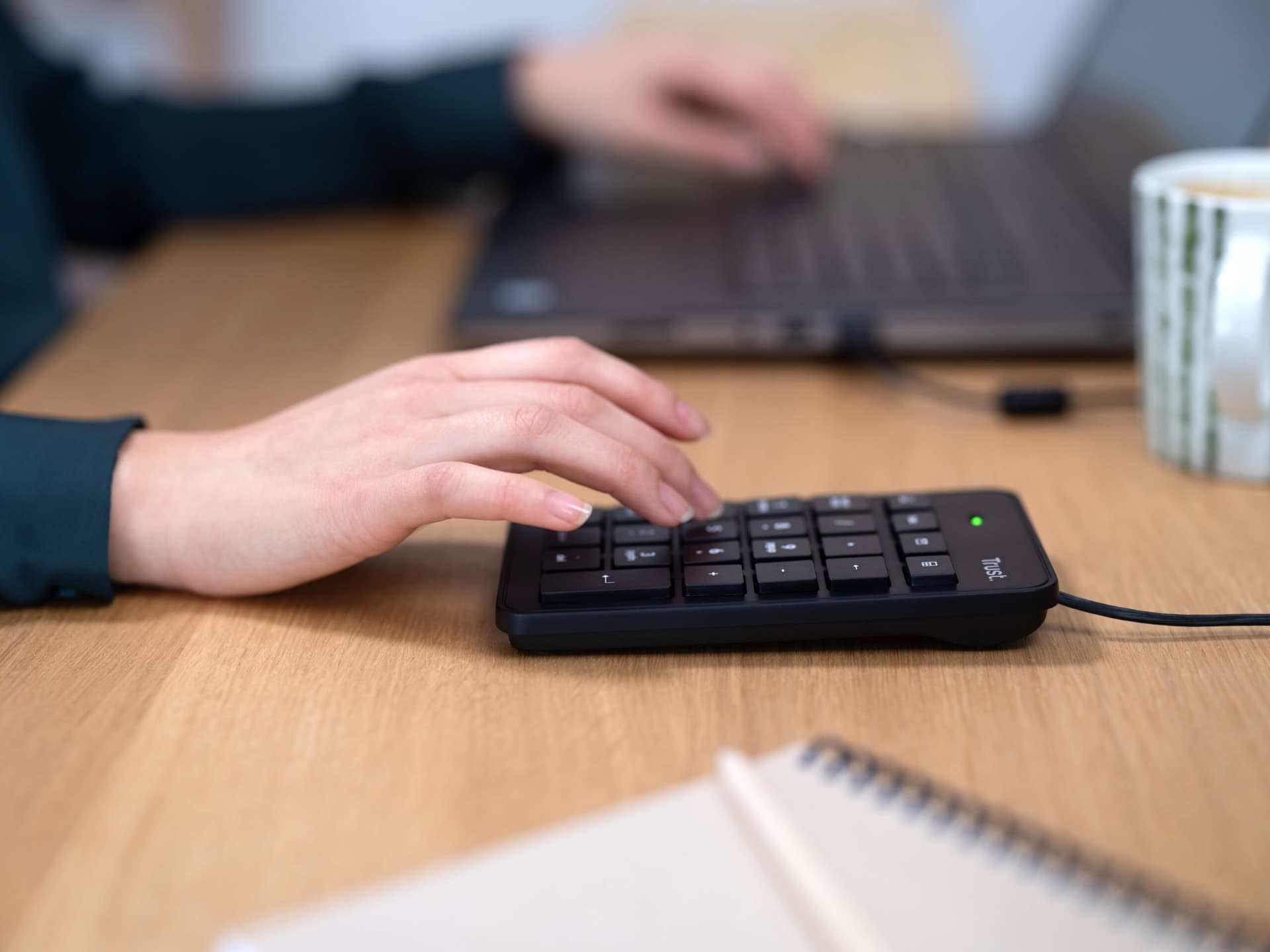 TASTATURI NUMERICE (Key Pad) Trust Xalas USB Numeric Keypad "22221" — miniatură