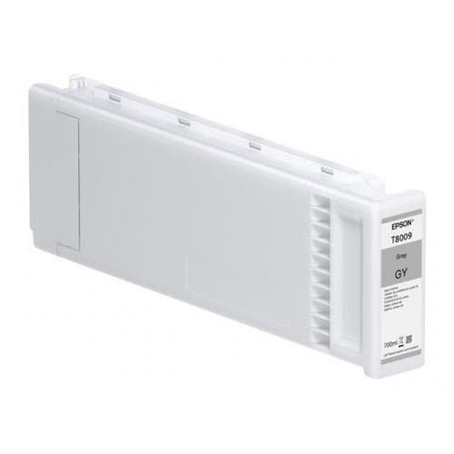 Cartus Cerneala Original Epson Grey, pentru, "C13T800900"