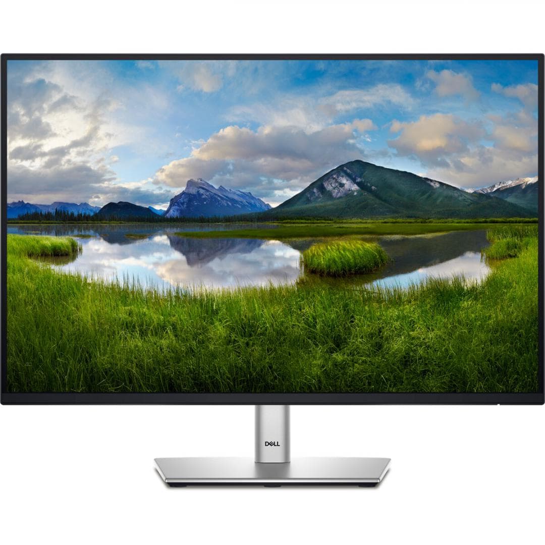 DL MONITOR 24" P2425E LED 1920x1200 "P2425E"