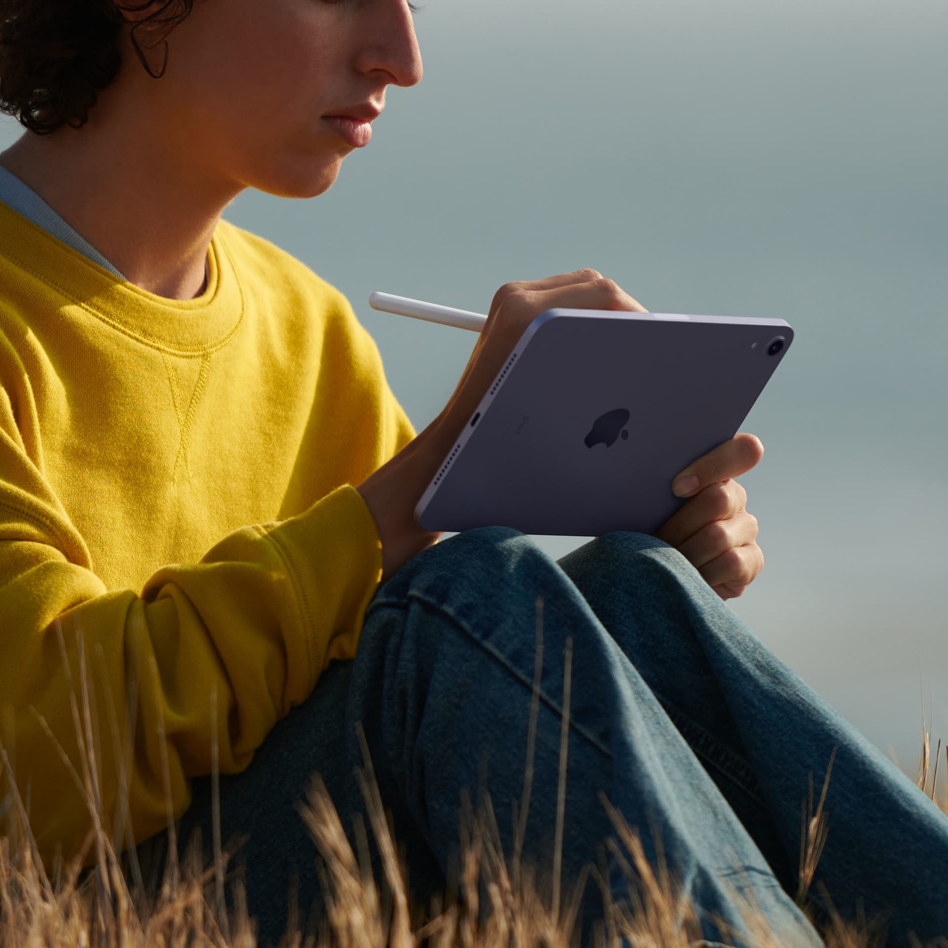 Tableta iPad Mini (2021) 8.3" 64GB WiFi Pink "MLWL3" — miniatură