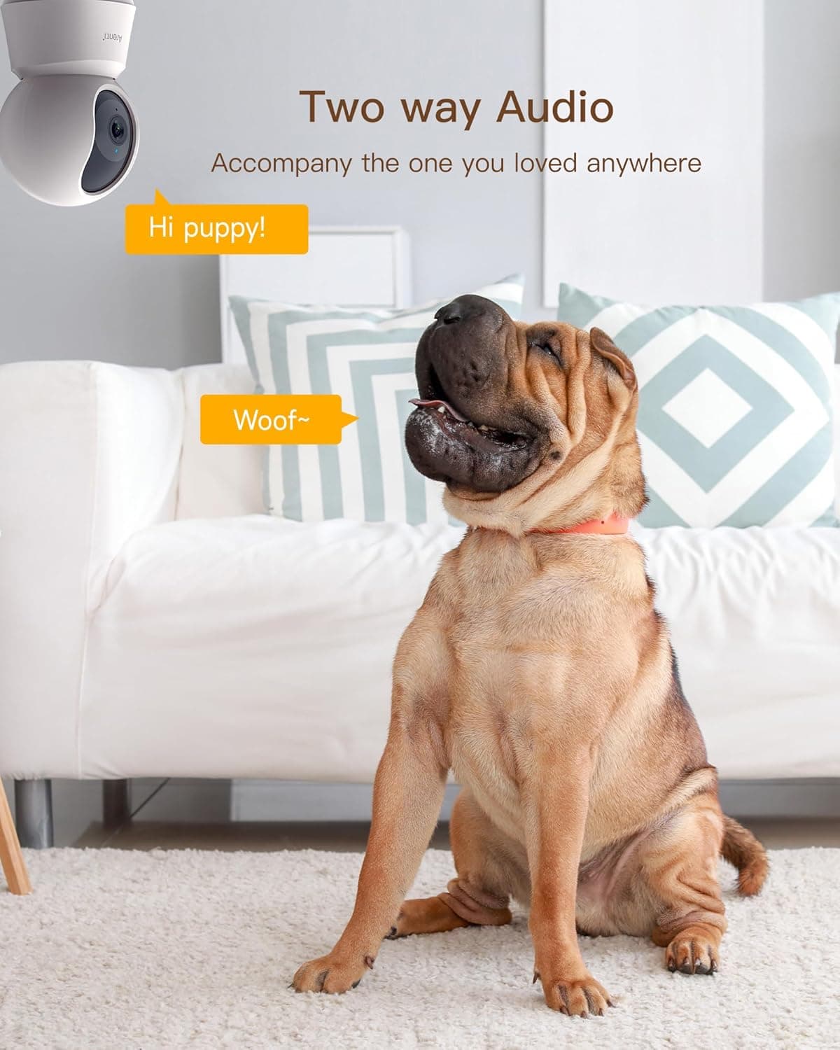 Camera supraveghere Arenti, 3K, 5 MP, mini, wireless 2.4 GHz, 5 GHz, night vision 10m, audio bidirectional, compatibil Alexa si Google Assistant, 355grade pan si tilt, "P2F" — miniatură