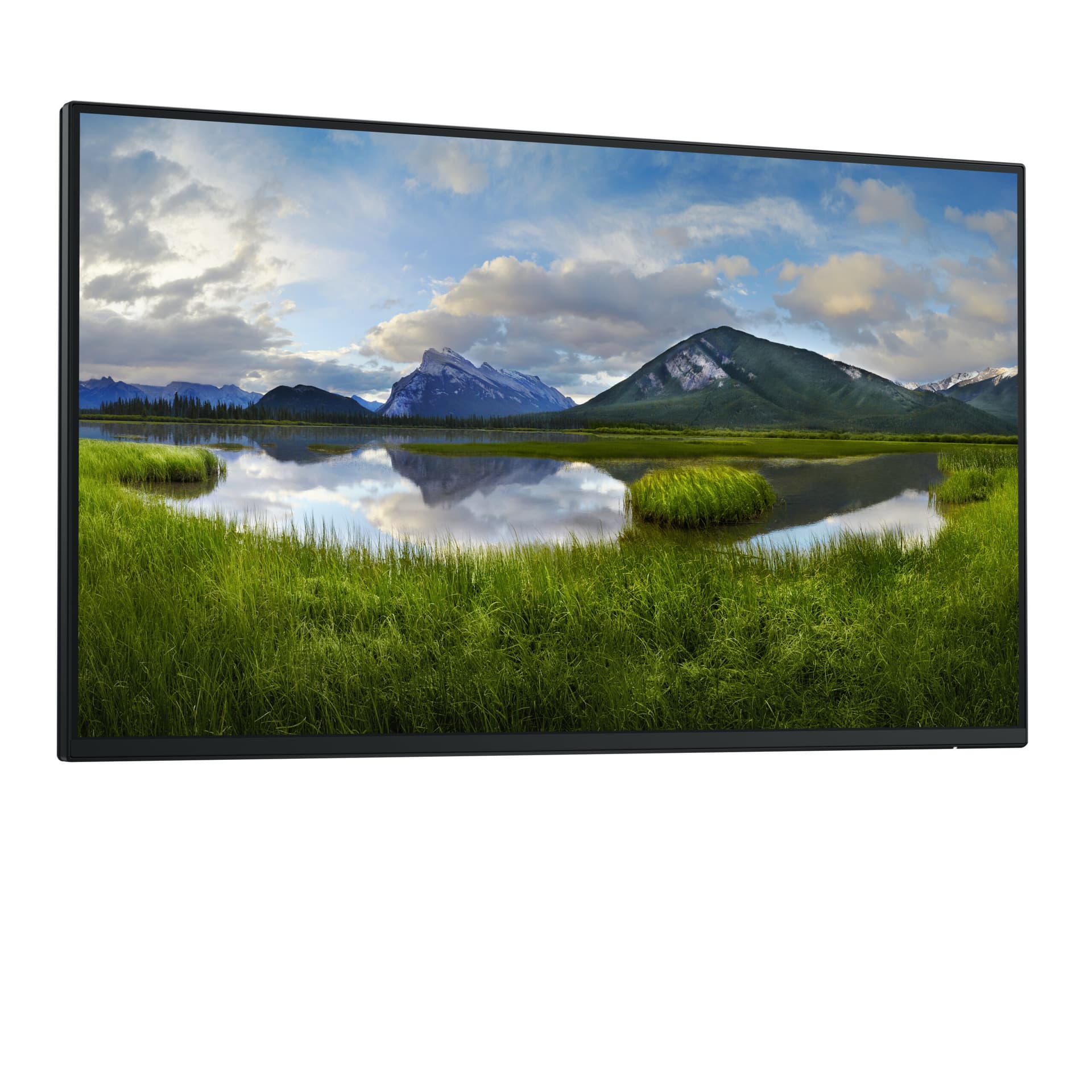 Monitor LED P2425H 23.8 inch 1920 x 1080 pixeli 100 Hz Negru "DELL-P2425HWO" — miniatură