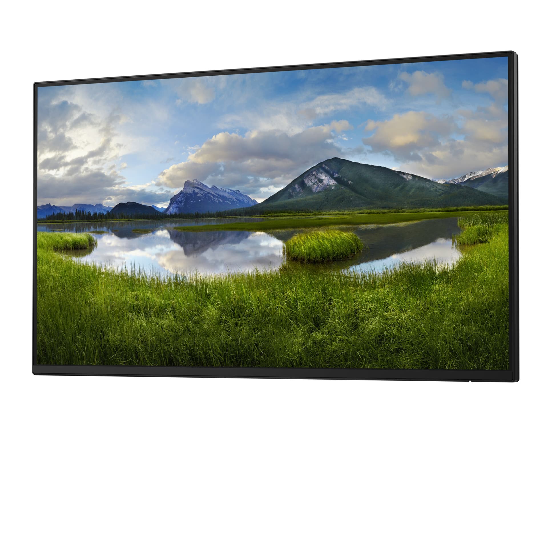 Monitor LED P2425H 23.8 inch 1920 x 1080 pixeli 100 Hz Negru "DELL-P2425HWO" — miniatură