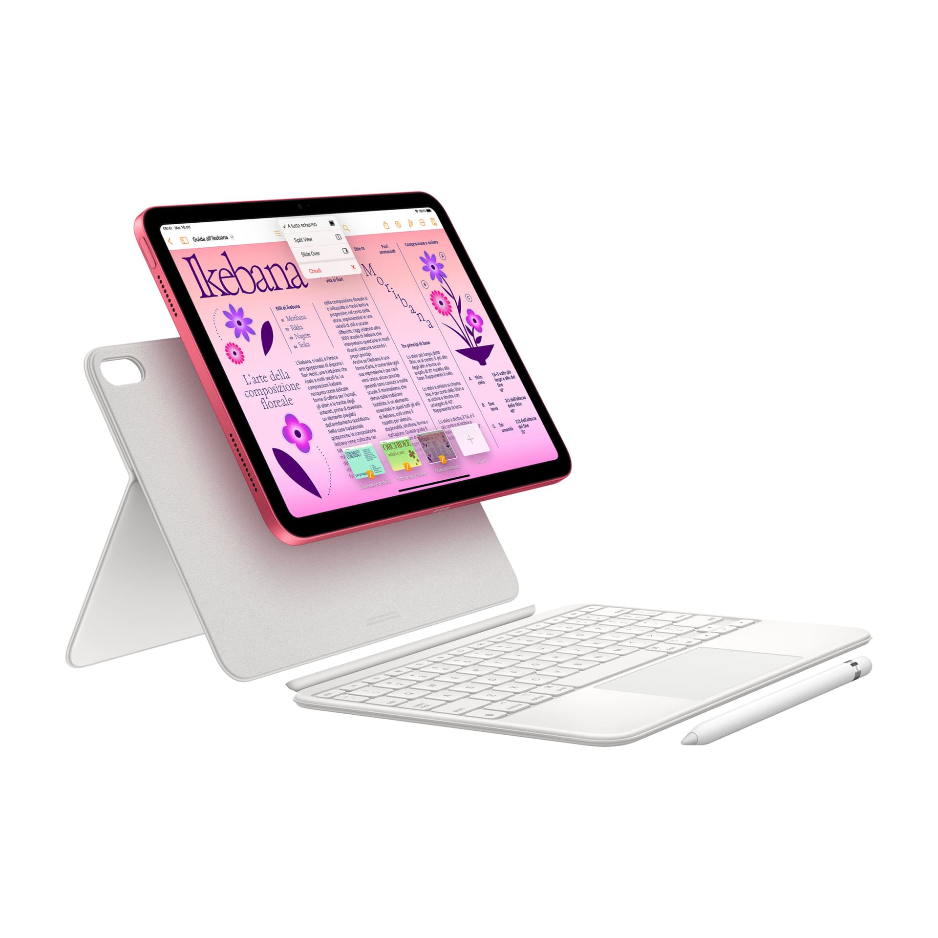 TABLET IPAD 10.9" (2024) 64GB/WI-FI SILVER MCM74 APPLE "MCM74HC/A" — miniatură