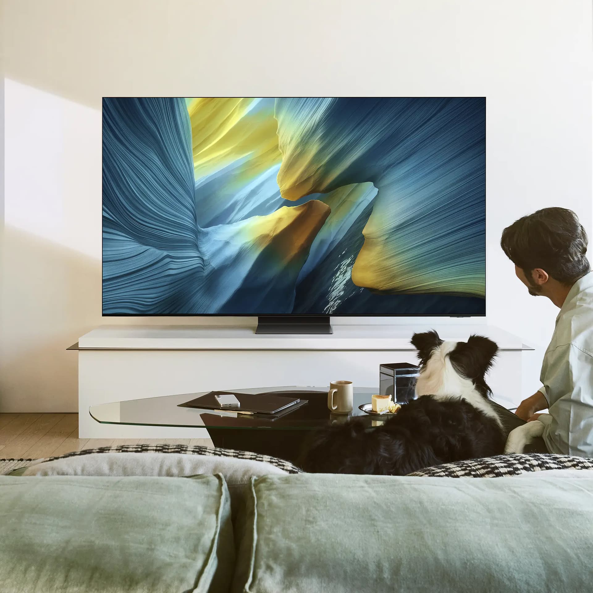 TV SAMSUNG QE65S95FA "QE65S95FA" — miniatură