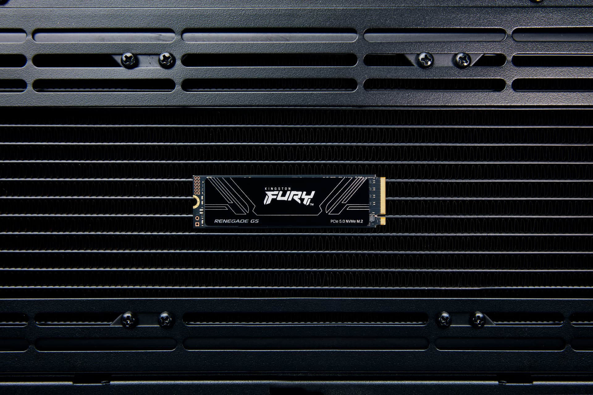 KINGSTON 8192GB Kingston FURY Renegade G5 PCIe 5.0 M.2 NVMe SSD "SFYR2D/8T1" — miniatură