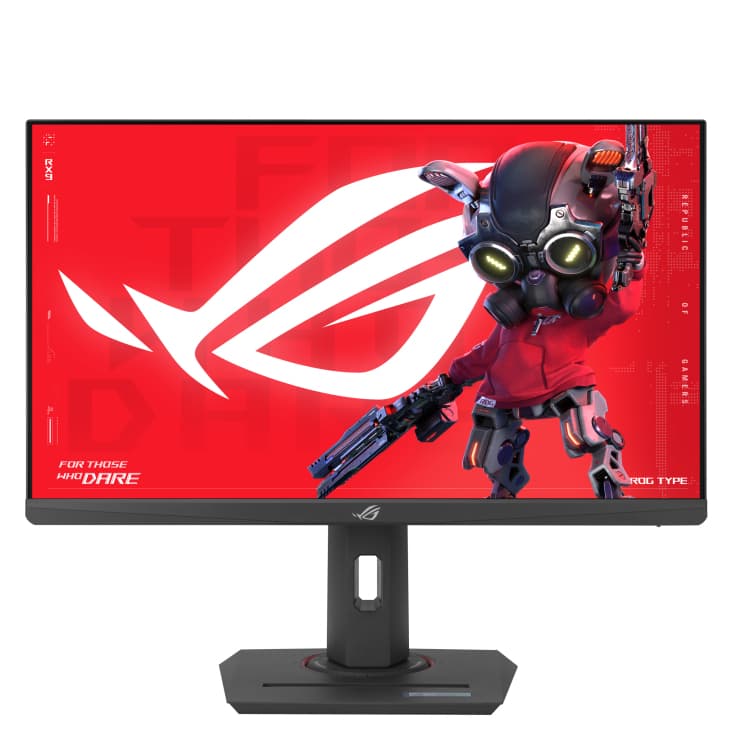 Monitor LED XG259CMS LED 24.5" 1ms 310Hz HDMI DP USB-C "90LM0A40-B01370"