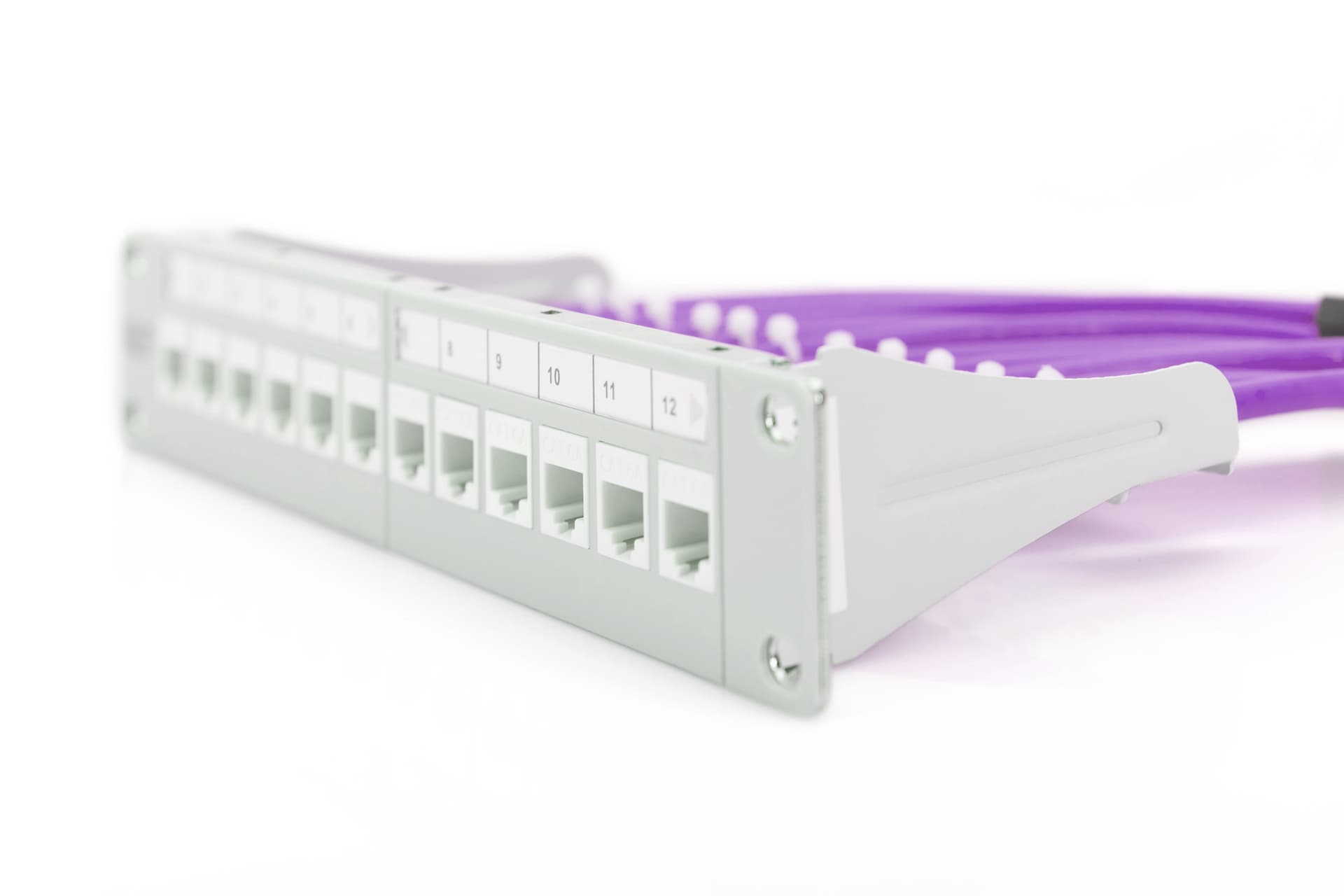 Cablu UTP Digitus DK-1613-VH-1, CAT.6, 100 m (Violet) "DK-1613-VH-1" — miniatură