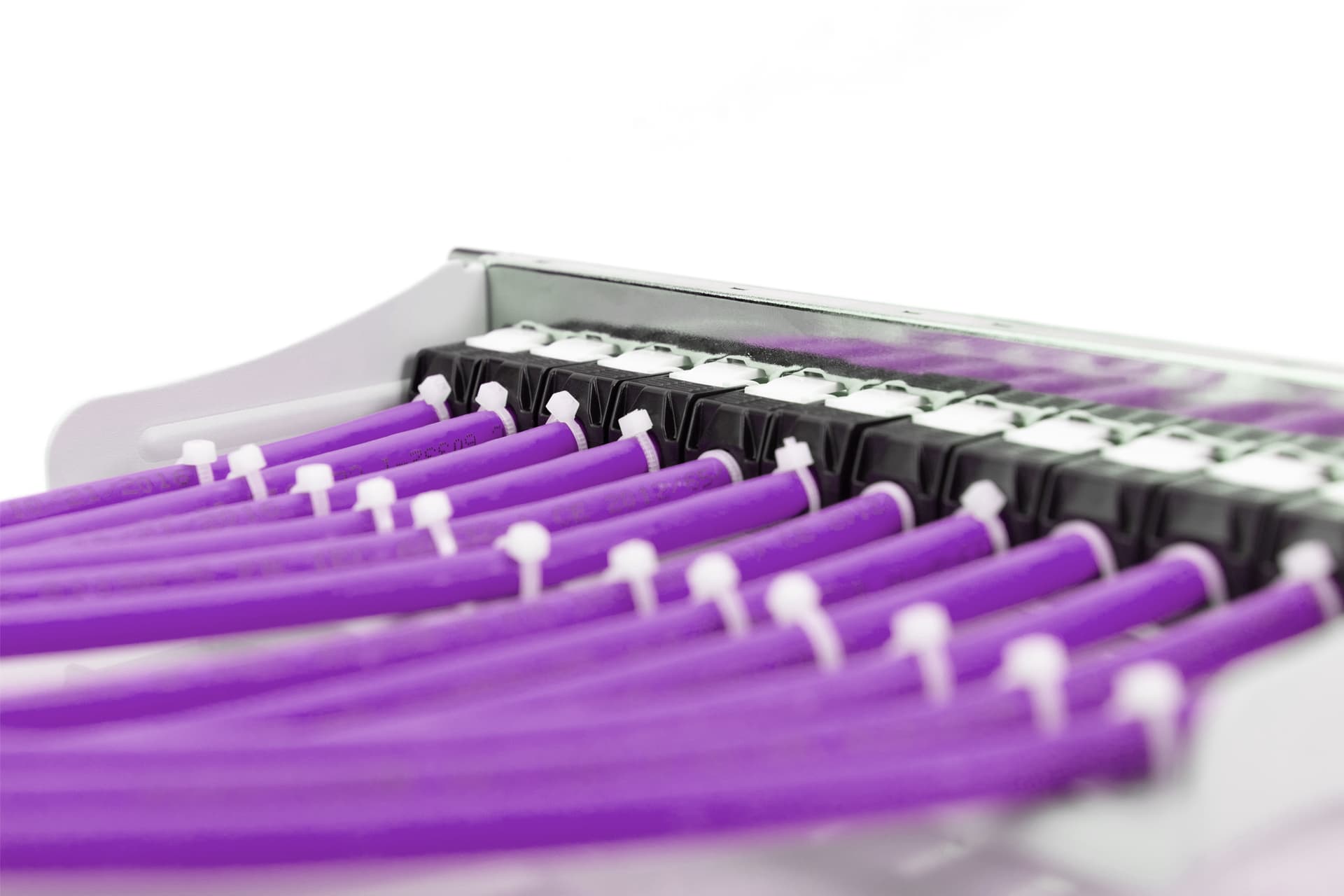 Cablu UTP Digitus DK-1613-VH-1, CAT.6, 100 m (Violet) "DK-1613-VH-1" — miniatură