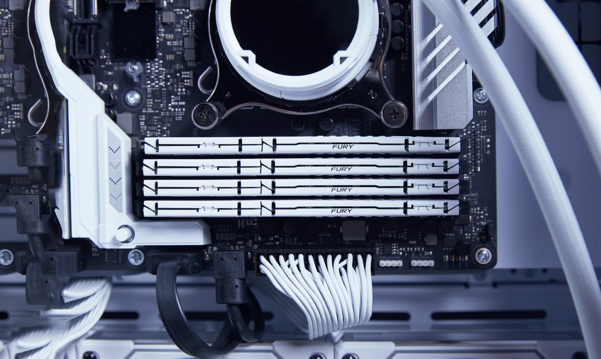 MEMORY DIMM 16GB DDR5-6000/KF560C36BWE2-16 KINGSTON "KF560C36BWE2-16" — miniatură