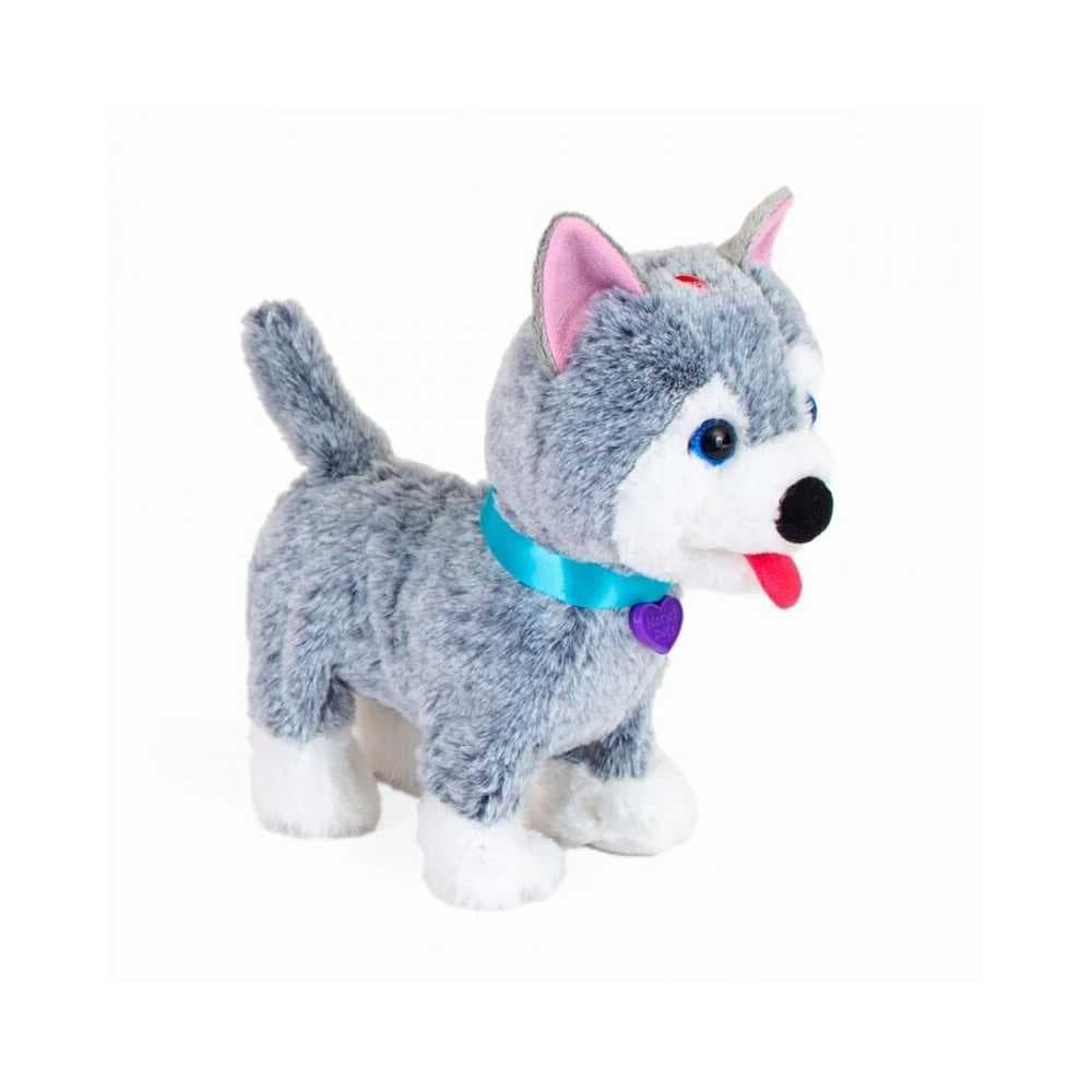 Noriel Pets - Oliver — miniatură