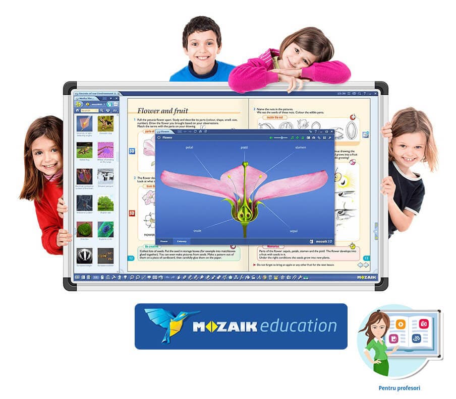 Software Mozaik Teacher MULTILANG , lectii interactive in timp real, licenta 1 / 4 ani