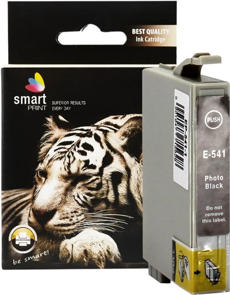 Cartus Cerneala Epson 541 C13T05414010 / T0541