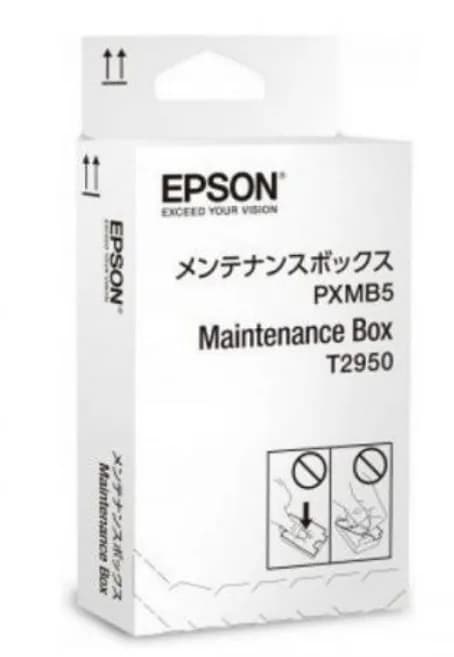 Kit Mentenanta Original Epson, T2950, pentru WorkForce WF-100, "C13T295000"(RAPO)