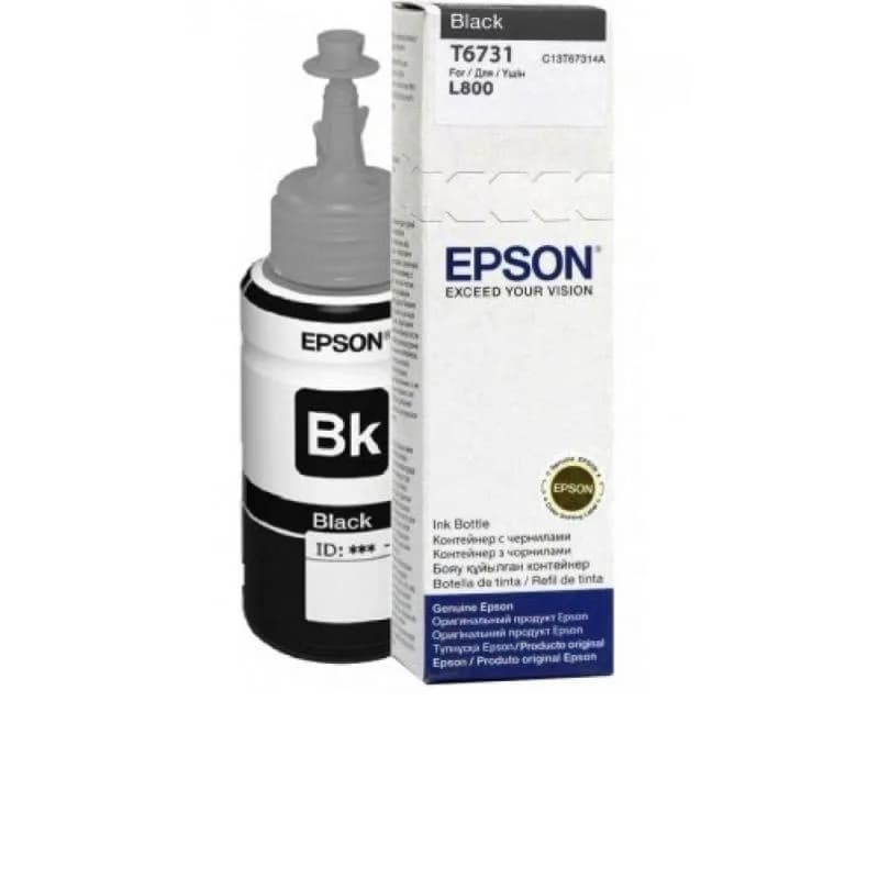 Cartus Epson T6731, Black