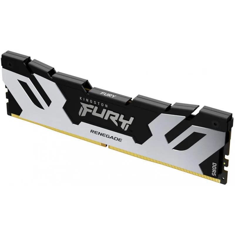 Memorie RAM Kingston FURY Renegade Silver, 16GB DDR5, 6400MHz, CL32