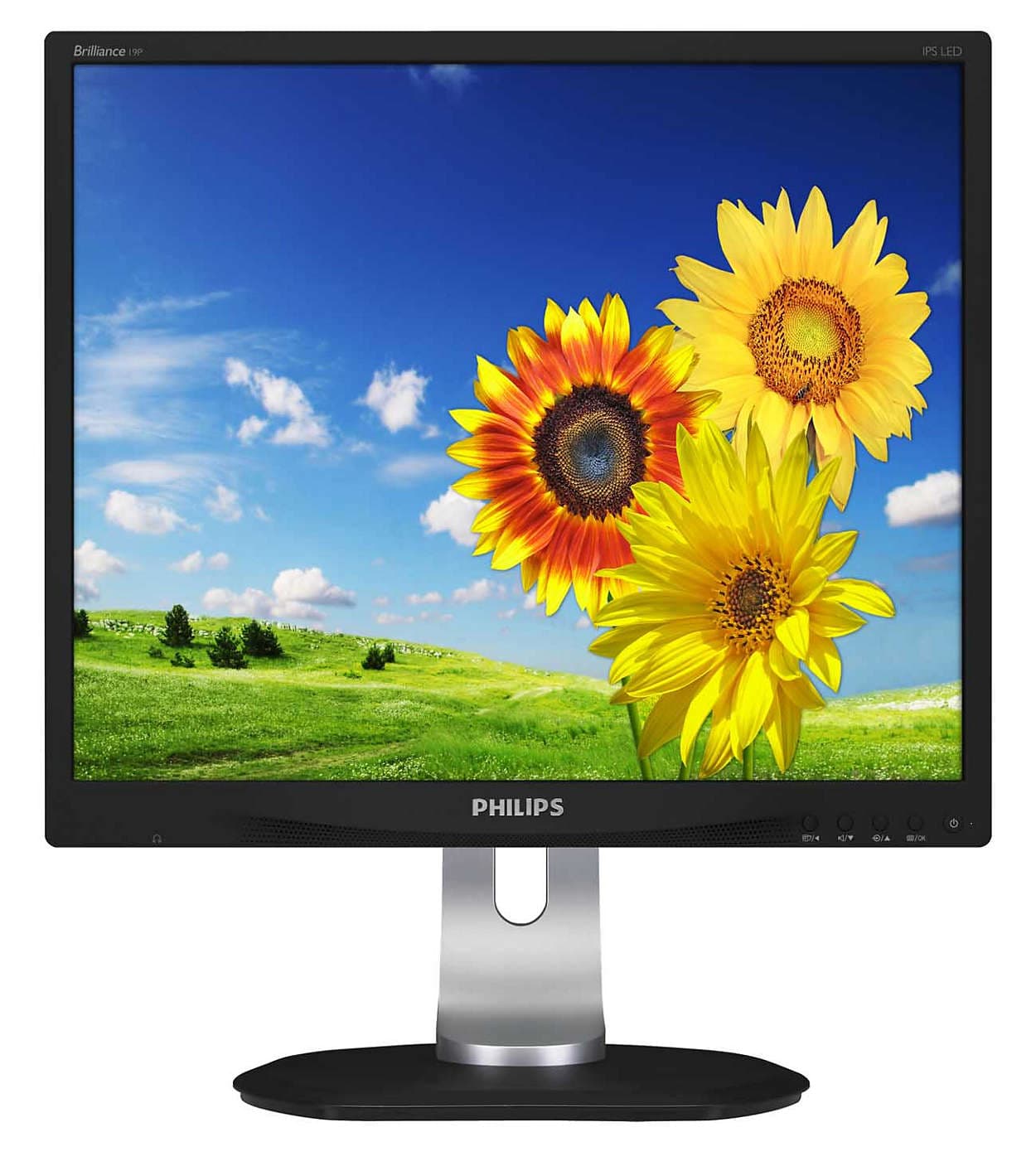 MONITOR PHILIPS 19", home, office, IPS, SXGA (1280 x 1024), clasic, 250 cd/mp, 5 ms, VGA, DVI, DisplayPort, "19P4QYEB"