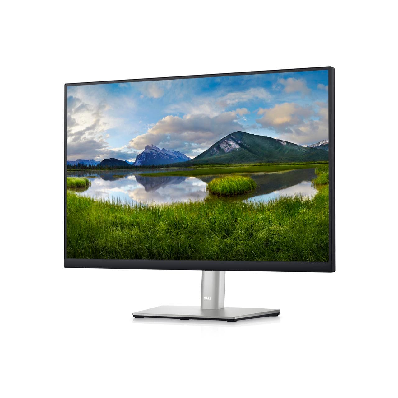 MON 24 DELL P2423 BLACK S "210-BDFS"