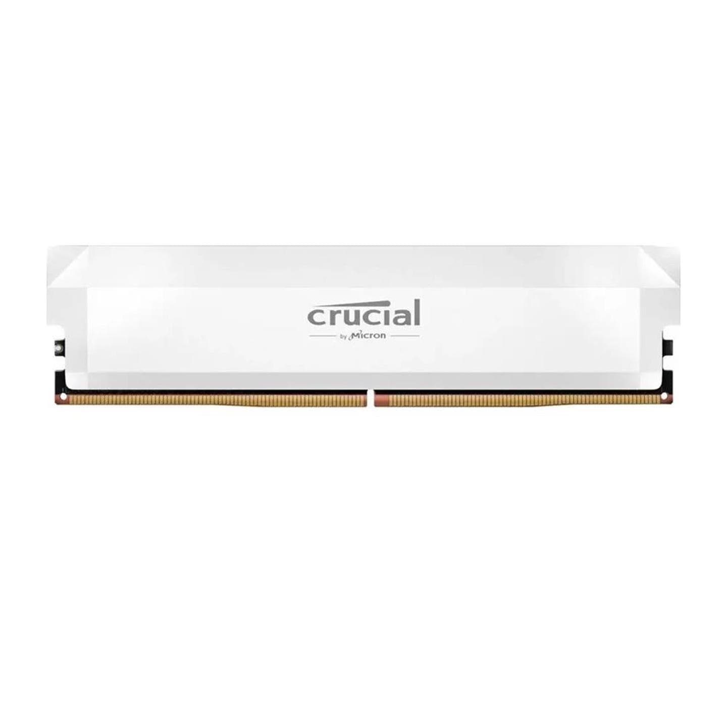 MEMORY DIMM 16GB DDR5-6400/PRO OC CP16G64C32U5W CRUCIAL "CP16G64C32U5W"