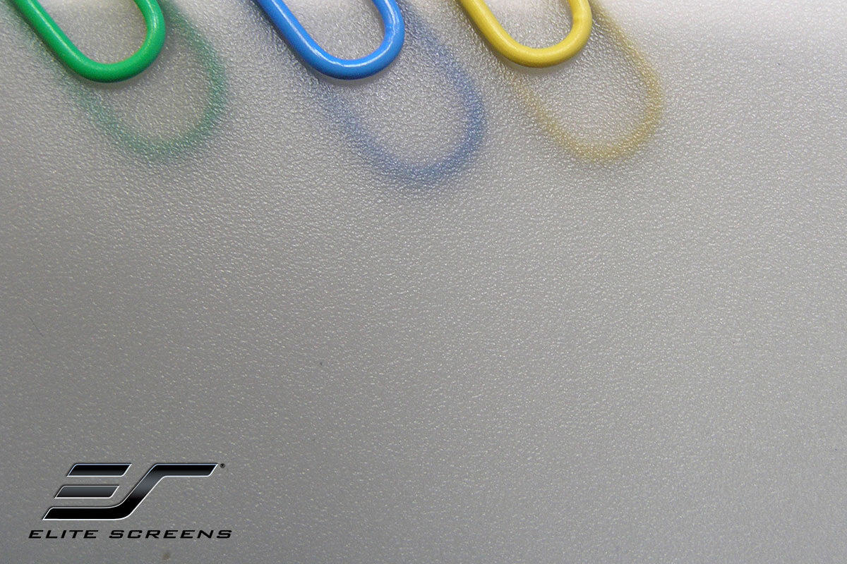 panza-proiectie-spate